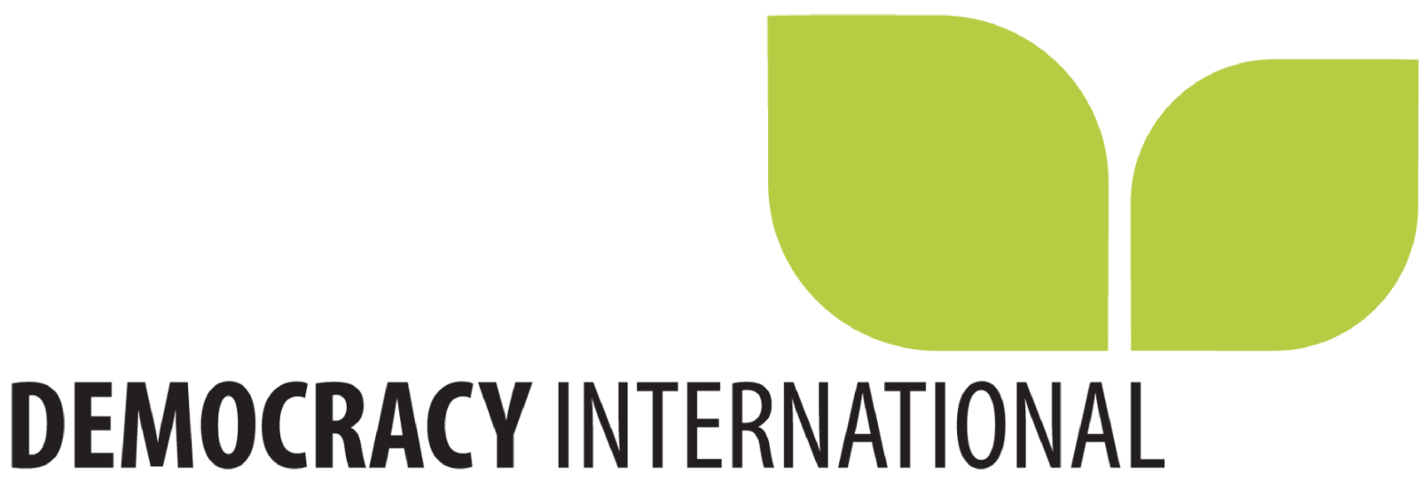 Logo Democracy International