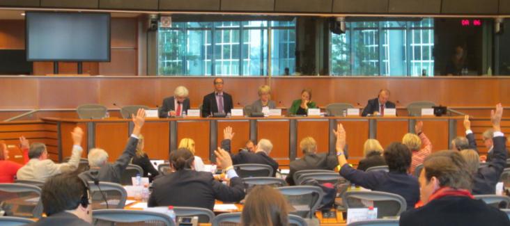 The constitutional committee voting on ECI reform proposals on 28 September 2015 The constitutional committee voting on ECI reform proposals on 28 September 2015