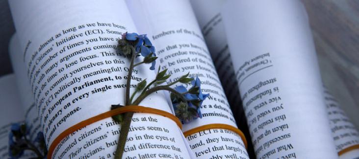 We handed out forget-me-nots to MEPs to remind them of their duty towards the citizens who have signed an ECI