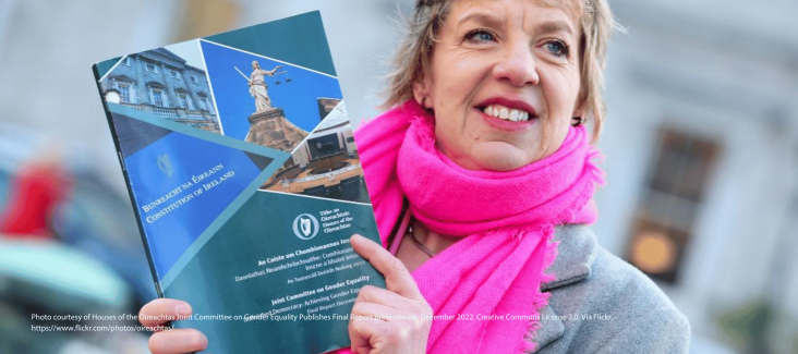 Photo courtesy of Houses of the Oireachtas Joint Committee on Gender Equality Publishes Final Report