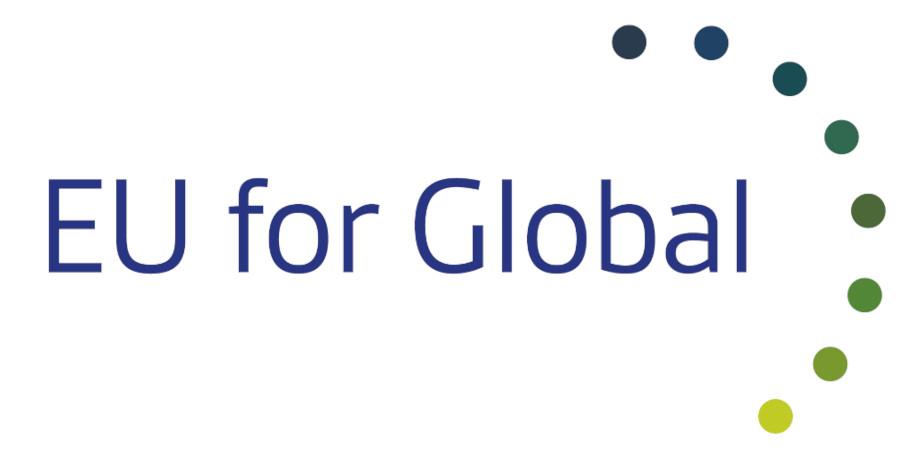 Banner EU for Global project