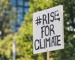 L'image : Debout pour le climat ! Avec l'aimable autorisation de @shaunl Getty Images Signature de Canva Pro https://www.canva.com/